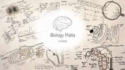 Biology Malta - Biology Private Tuition in Birkirkara, Malta